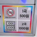 오디션코인 노래연습장 이미지
