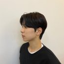 모노브로수완