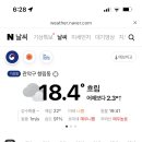 비건마마