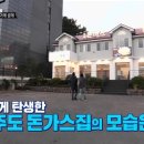 성실식당 네이버블로그