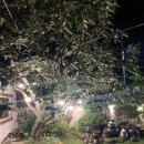 보뜰한옥 이미지