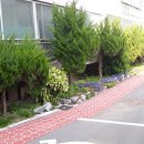 태양아파트 이미지