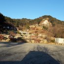 봄부동산중개사무소 이미지