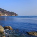 팜트리펜션 이미지