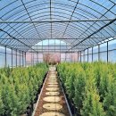 고운목장 이미지