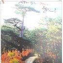 도화동산 이미지