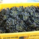 은애농장 이미지