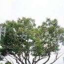 느티나무경로당 이미지