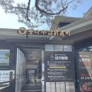 통나무집 | 춘천 철판닭갈비 맛집 통나무집 본점 후기 내돈내산 솔직 리뷰