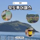 제주 우도 여행 꿀팁 가성비 좋은 우도투어패스 후기 (예약, 코스 공유)