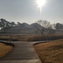 불로고분공원 이미지