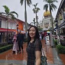 [싱가포르여행] 아랍 스트리트&amp;하지레인 구경/블랑코 코트 프라운 미/잠잠/버즈오브파라다이스 젤라또