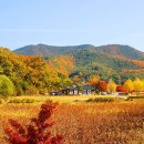 모든 곳이 상상 이상의 풍경이 더욱 아름다워 지는 여행지 이미지