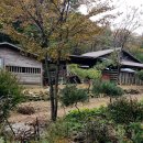 밤나무골농장 이미지