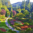 캐나다 서부 여행 6(부차트가든, The Butchart Gardens, 빅토리아, Victoria) 이미지