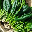 장수요양병원 이미지