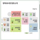 [양재] 양재꽃시장 생화도매시장 후기 주차 가격 꿀팁 서울가볼만한곳
