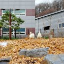 티엔에스디자인 이미지