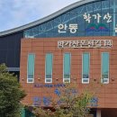 안동학가산온천 네이버블로그