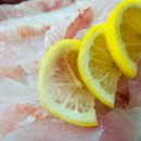 하우리부일호횟집 이미지