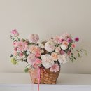 로지 데이즈
