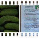 으뜸농장 2 이미지