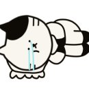 일품당샤브샤브 이미지