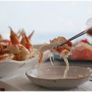 포항바다수산