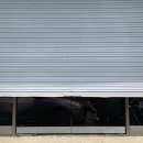 비룡카센타 이미지