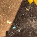 말순농장 | 전주 근교 아이랑 갈만한 곳 | 말타기 체험과 다양한 체험이 있는 말순농장