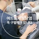 벨뷰약국 네이버블로그