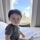 신길지오마트(주) | 아기랑 시드니 여행 울월스마트 QVB 어그 자카란다 가득한 탐색데이