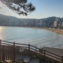 송정관광봉사센터(송정해수욕장 2호) 네이버블로그