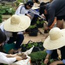 천안연암대학 이미지