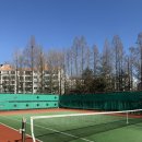 우장산근린공원 | 우장산테니스장 : 주차 예약방법 이용후기