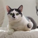 삼천도서관 화장실 | 그래요 나 대구(또)갔어요