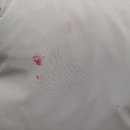 성실세탁소 이미지