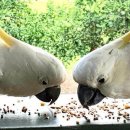 건영승마장 이미지