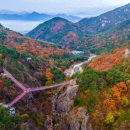 거창 항노화 힐링랜드 자연휴양림 이미지