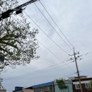 만미숯불갈비 이미지