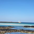 거기벵디 이미지