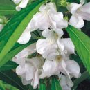 봉선농장 이미지