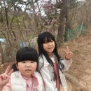 동아대 KAT 태권도 이미지