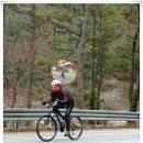 산양일주로 이미지