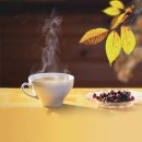 모아보청기 이미지