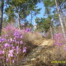 각산등산로 이미지