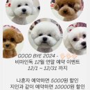 비마인 독 네이버블로그