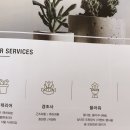 플로정아 이미지