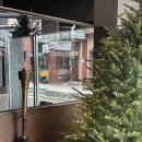 성화식당 | 잠실 소고기 룸식당 회식 맛집 숯불성화 방문 후기