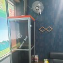 지에스스크린 이미지